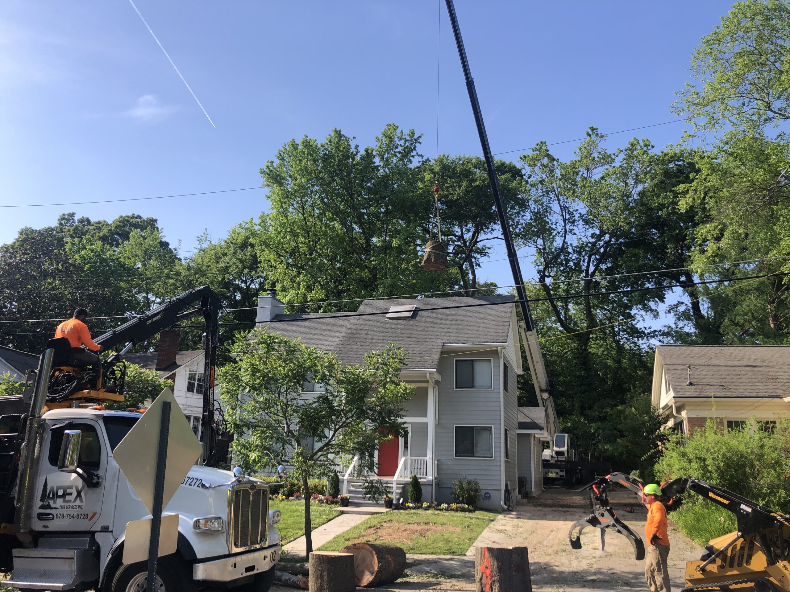 Atlanta Tree Removal Service