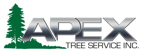 Apex Tree Service