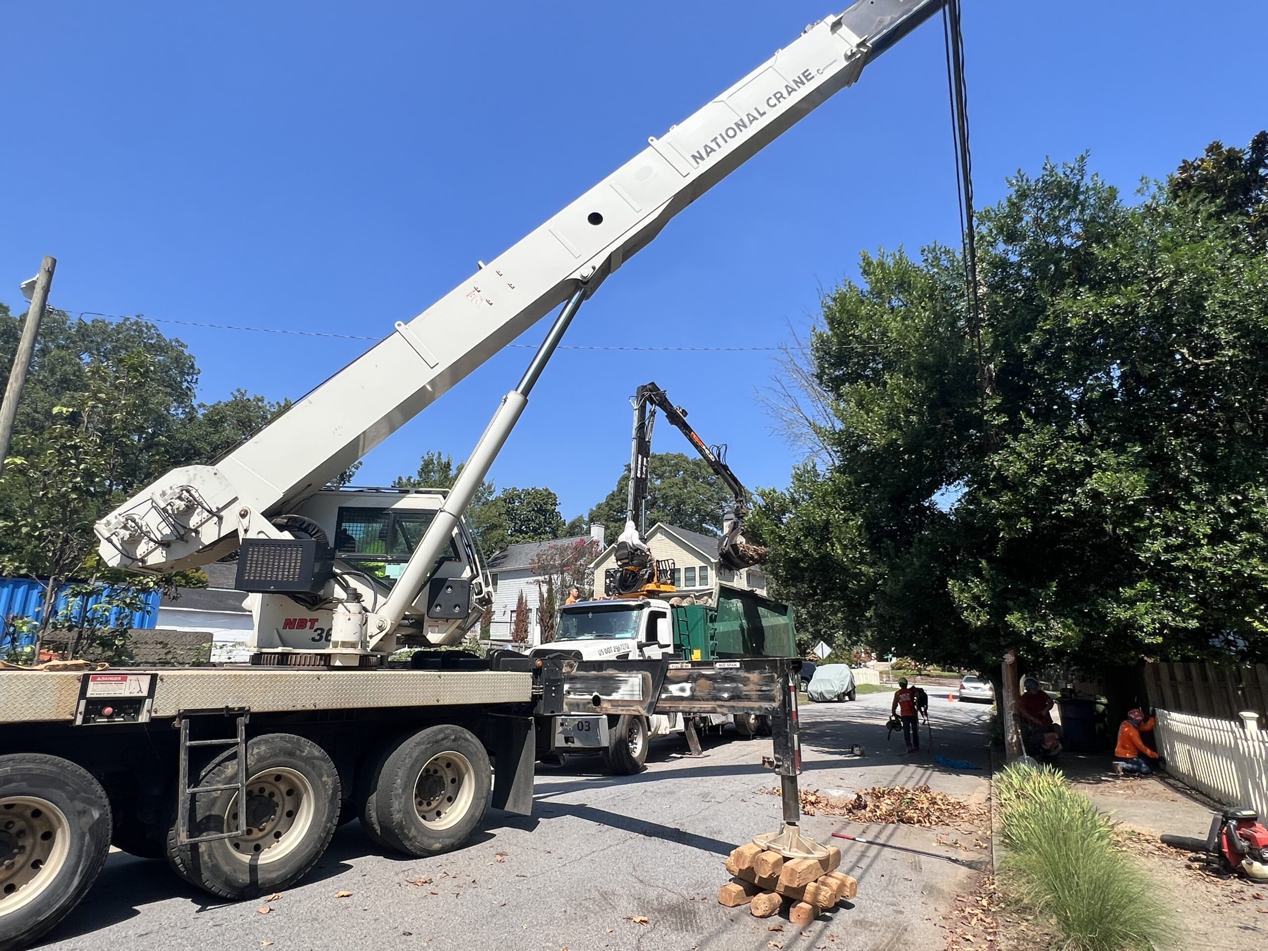 North Georgia Tree Removal Service - Apex Tree Company