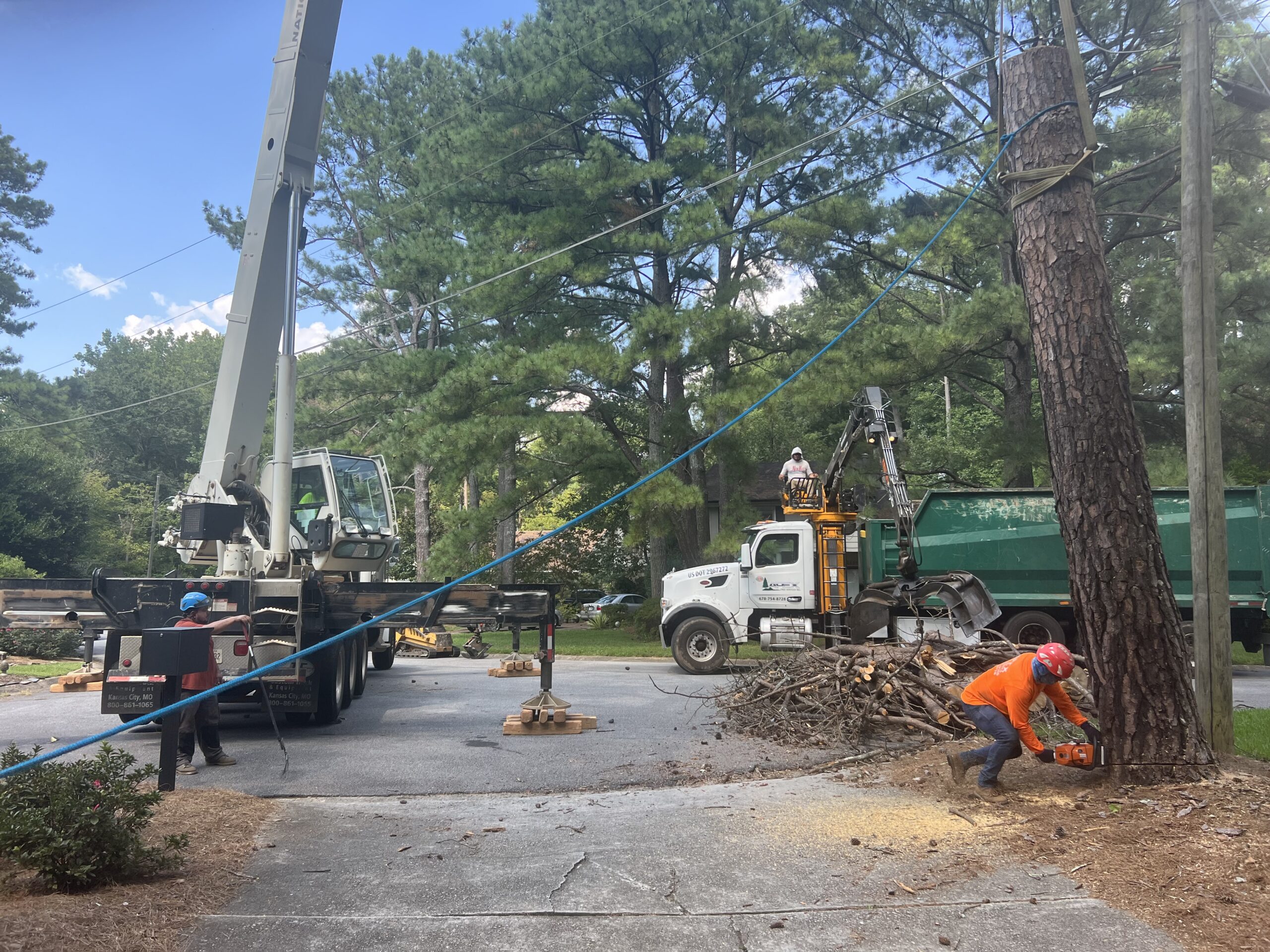 Roswell Tree Service - Apex Tree Company in Atlanta, GA