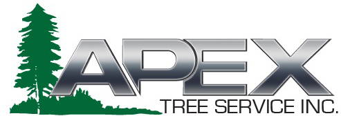 Apex Tree Service Atlanta